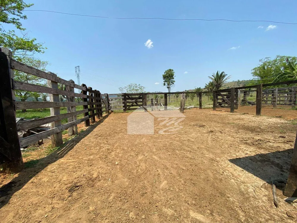 Fazenda, 242 hectares - Foto 3