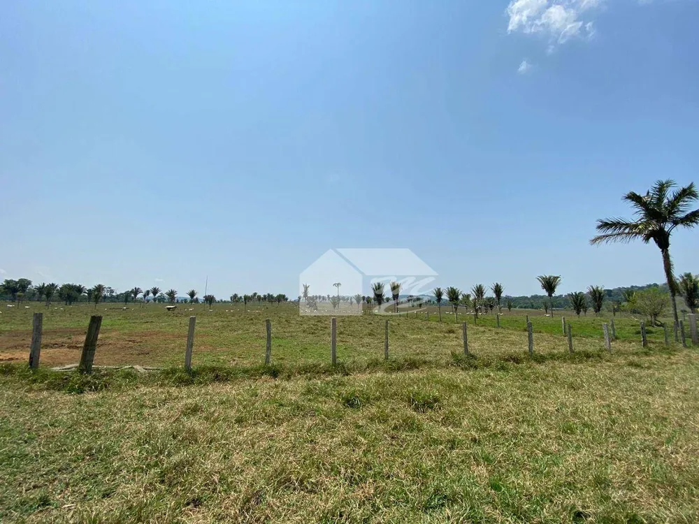 Fazenda, 242 hectares - Foto 8