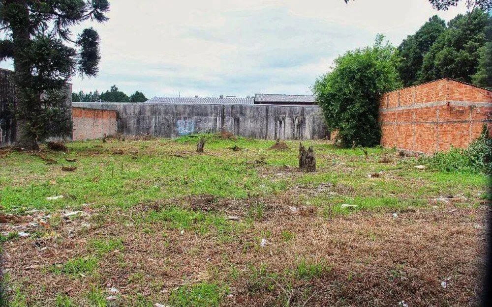 Loteamento e Condomínio, 1 m² - Foto 3