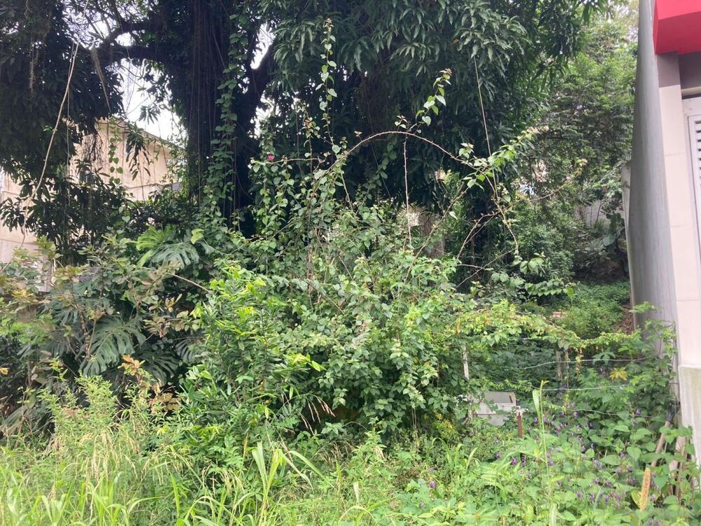Terreno, 580 m² - Foto 1