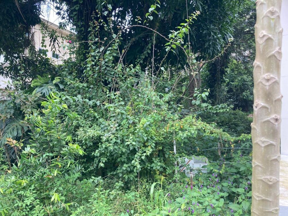 Terreno, 580 m² - Foto 6