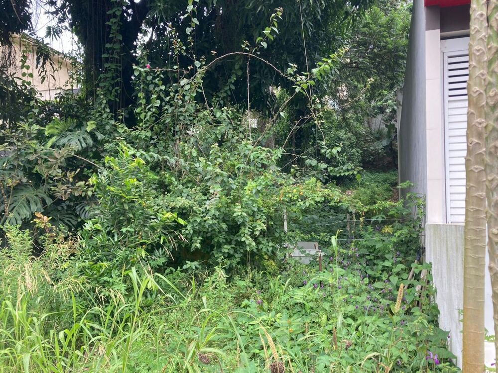 Terreno, 580 m² - Foto 5
