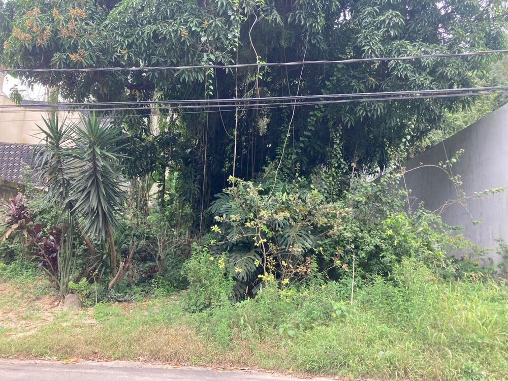 Terreno, 580 m² - Foto 8