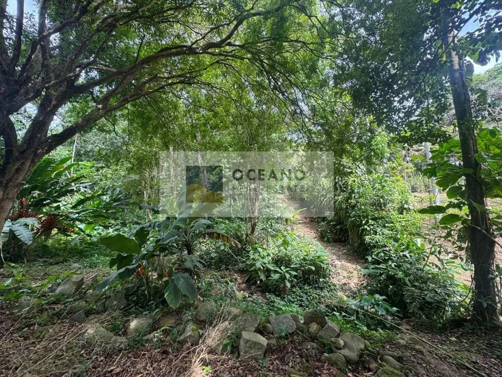 Sítio, 1 hectares - Foto 2