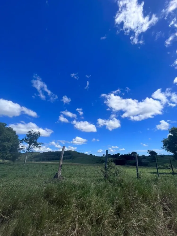 Fazenda, 5 hectares - Foto 15
