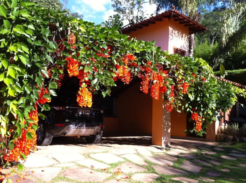 Sítio, 4 quartos, 5000 m² - Foto 13