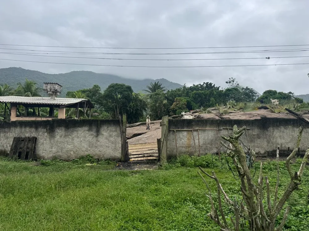 Terreno, 1 hectares - Foto 13