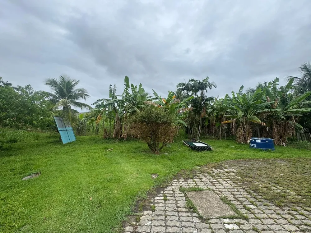 Terreno, 1 hectares - Foto 11