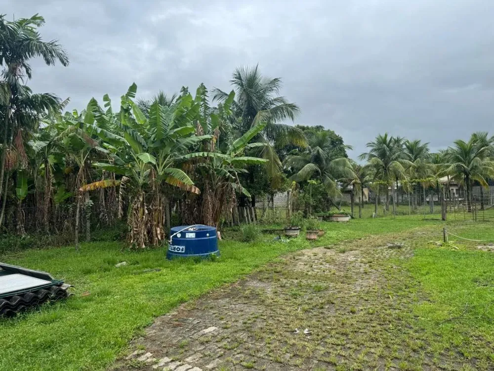 Terreno, 1 hectares - Foto 7
