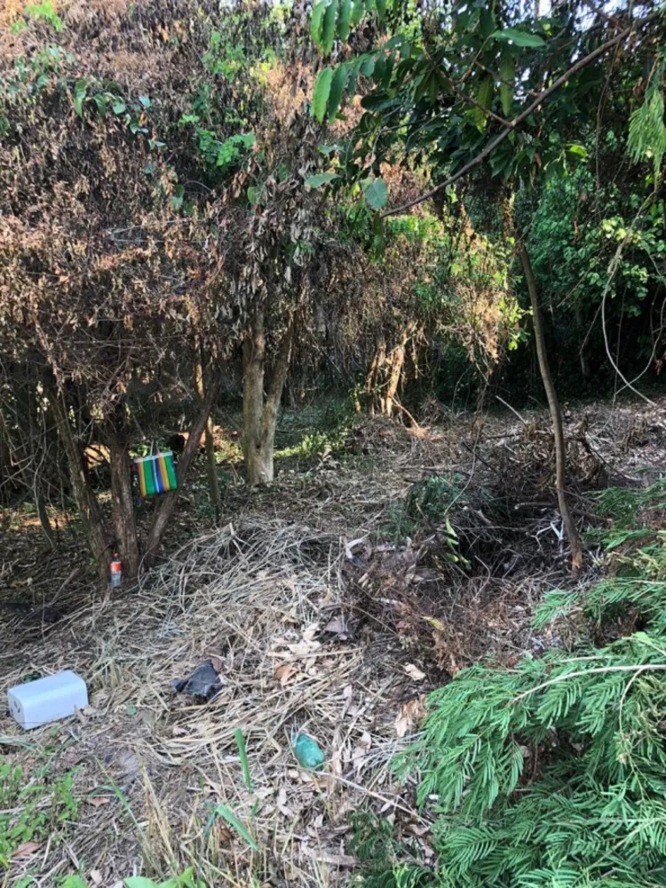 Terreno, 498 m² - Foto 8