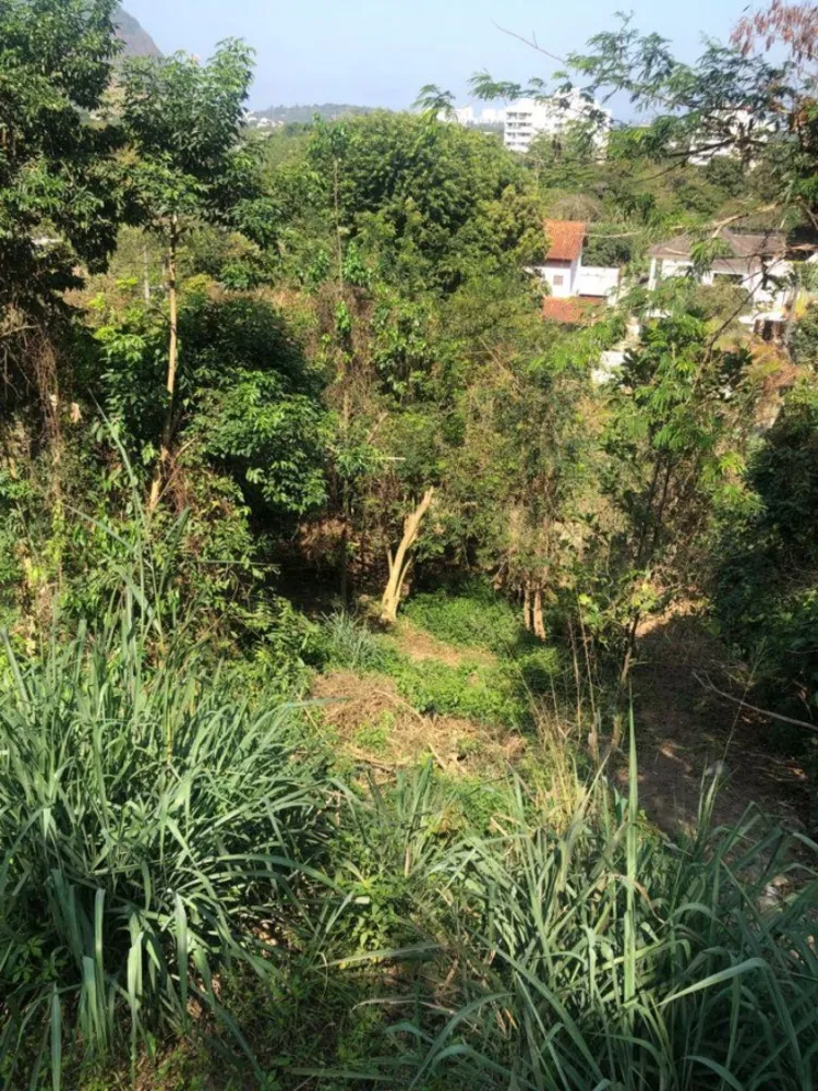 Terreno, 498 m² - Foto 4