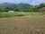 Terreno, 1030 m² - Foto 4