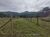 Terreno, 1030 m² - Foto 2