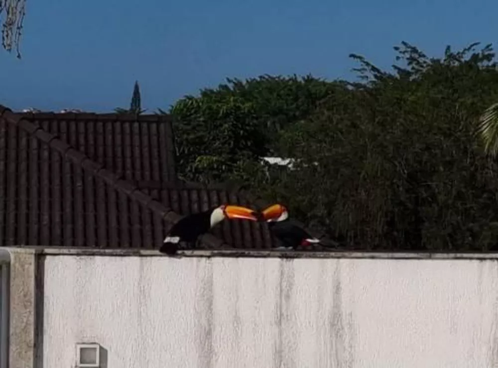 Casa de Condomínio, 4 quartos - Foto 27