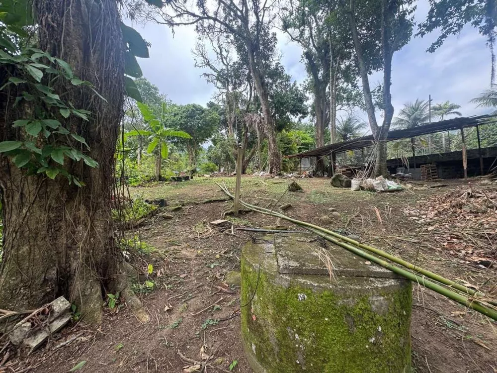 Sítio, 1 hectares - Foto 5