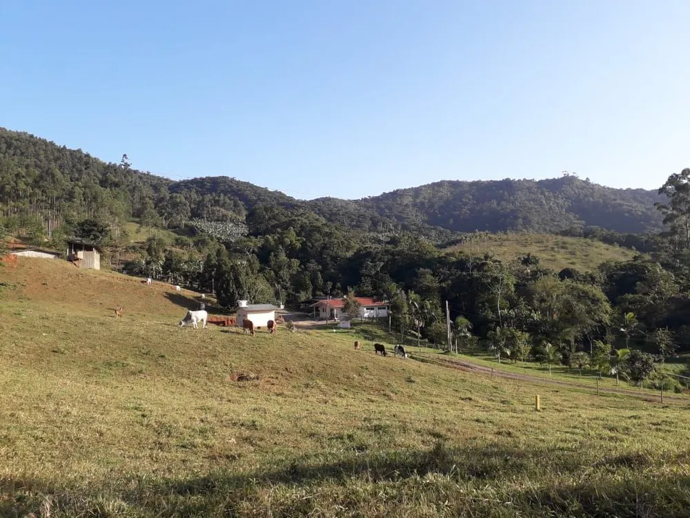Sítio, 3 quartos, 113 hectares - Foto 3