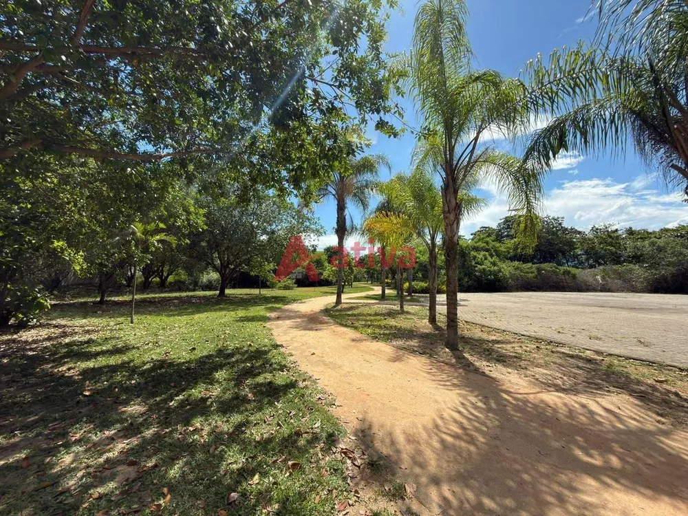 Apartamento, 3 quartos, 227 m² - Foto 10