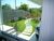 Casa, 3 quartos, 302 m² - Foto 3