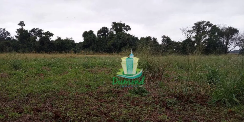 Terreno, 2390 m² - Foto 2