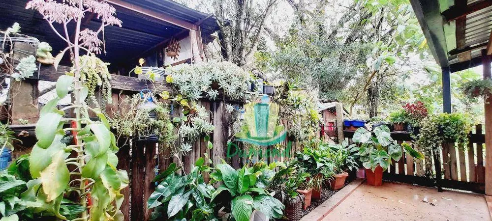 Chácara, 3 quartos, 6081 m² - Foto 16