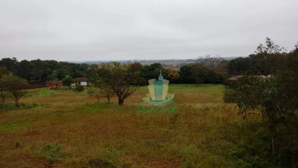 Terreno, 2 hectares - Foto 6