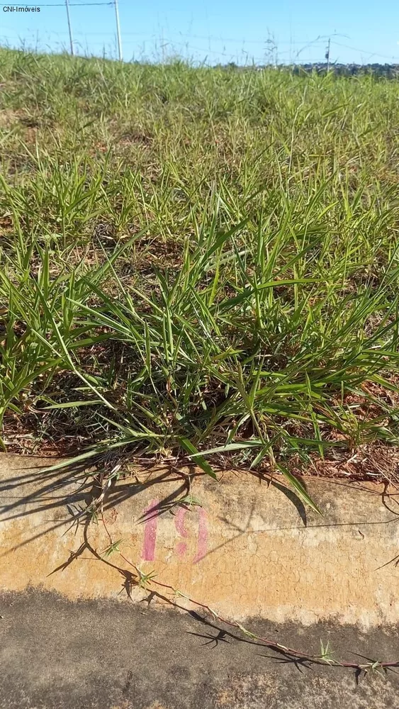 Terreno à venda, 200m² - Foto 2