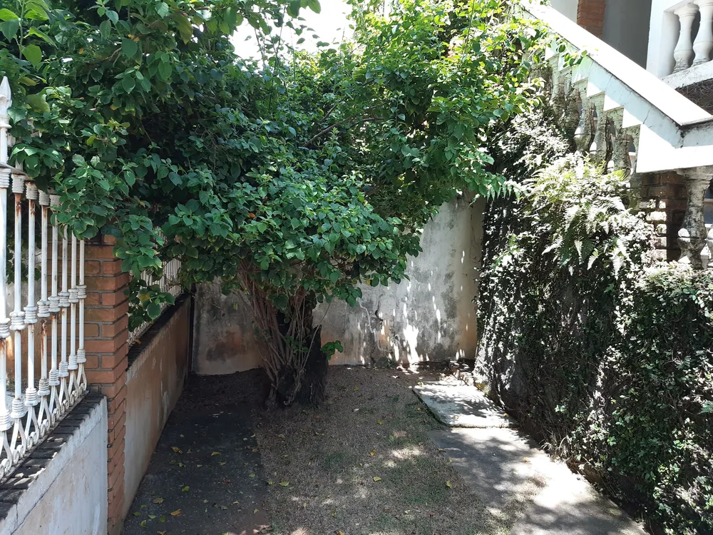 Casa, 4 quartos, 376 m² - Foto 21