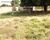 Terreno - Foto 3