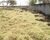 Terreno - Foto 4