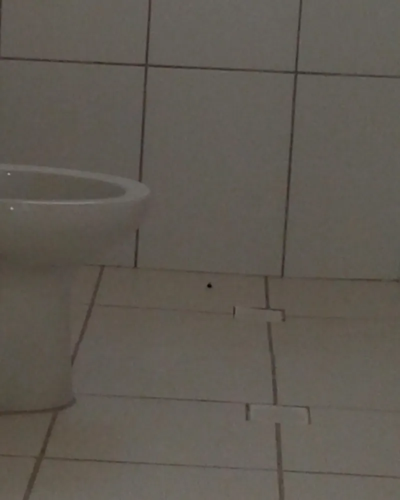 Apartamento, 2 quartos, 47 m² - Foto 3