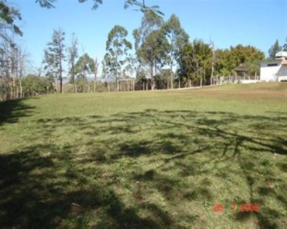 Terreno - Foto 7