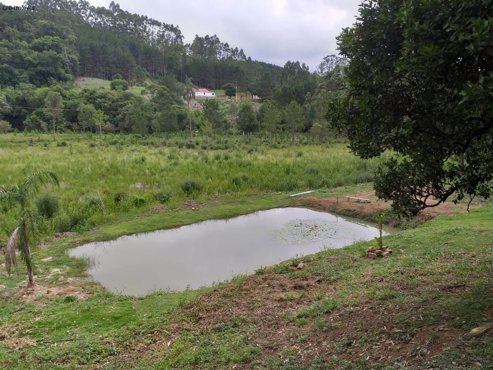 Chácara, 3 quartos - Foto 15
