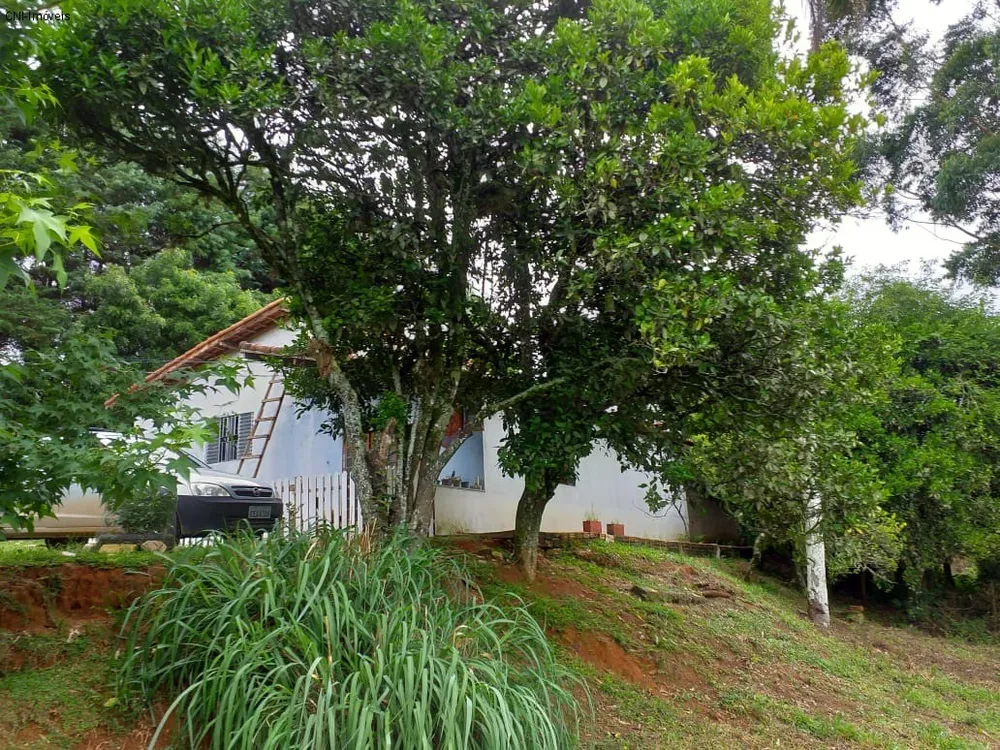 Chácara, 3 quartos - Foto 11