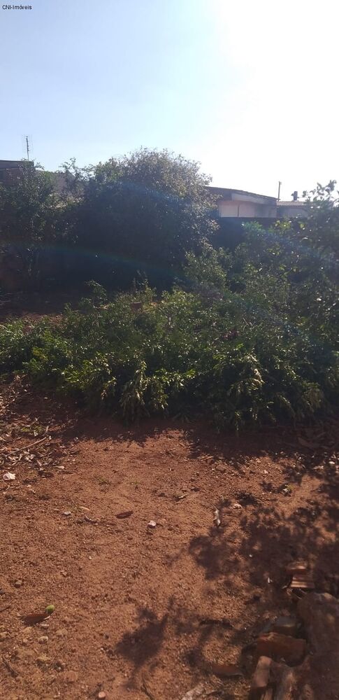 Loteamento e Condomínio, 300 m² - Foto 6