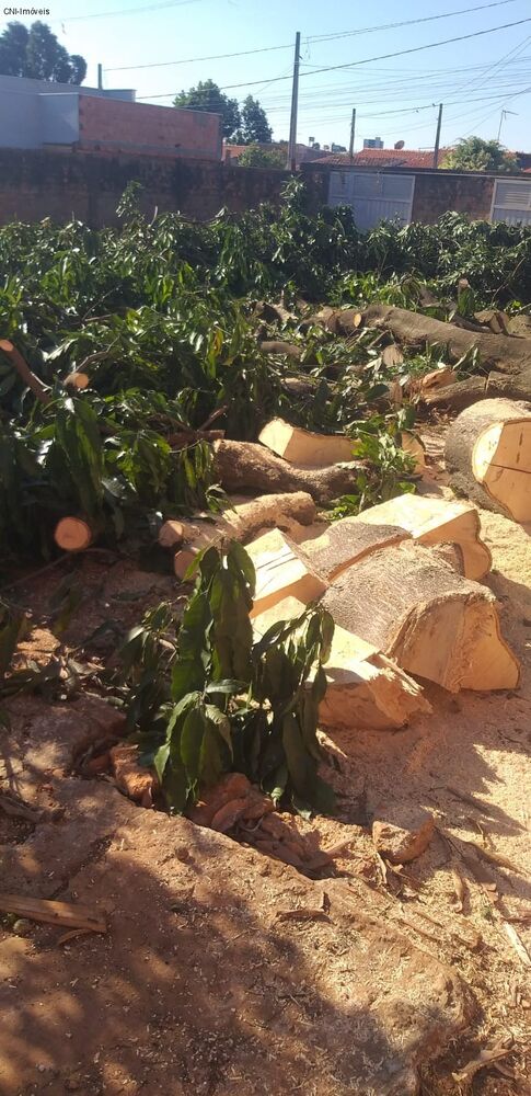 Loteamento e Condomínio, 300 m² - Foto 5