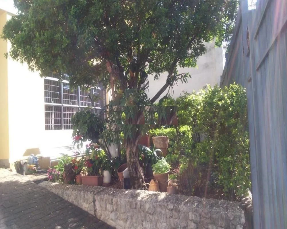 Casa, 4 quartos, 318 m² - Foto 19