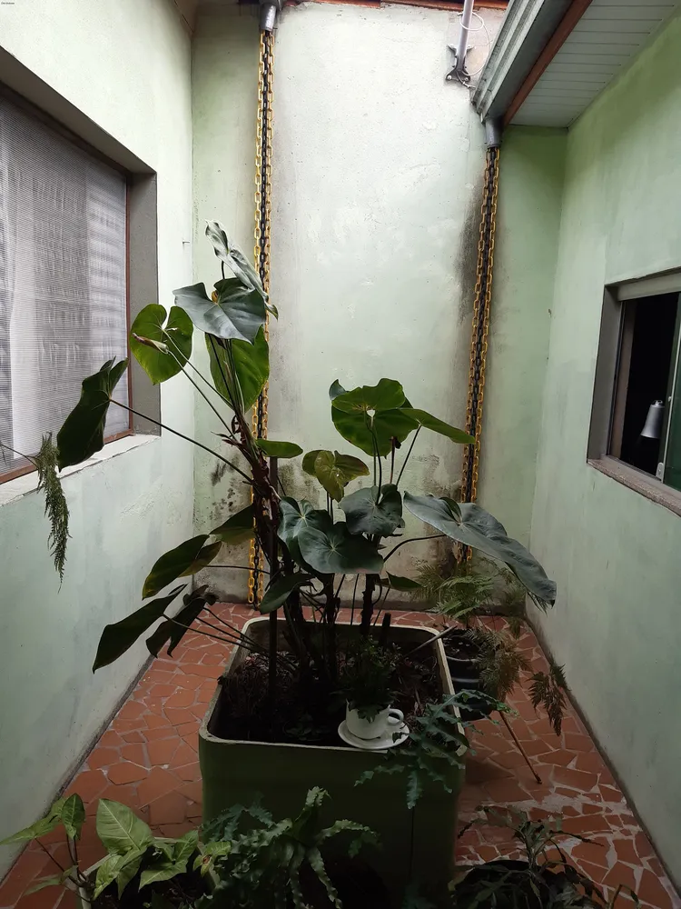 Casa, 3 quartos, 193 m² - Foto 7
