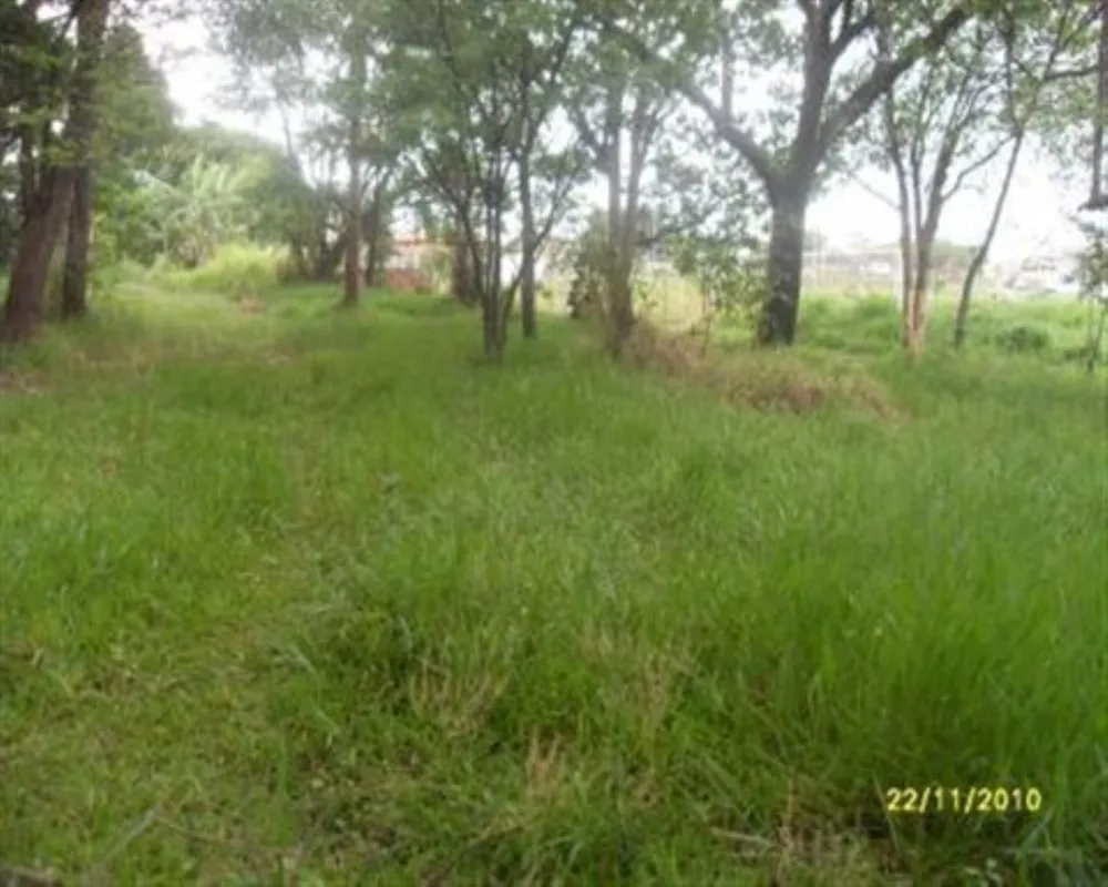 Terreno - Foto 6
