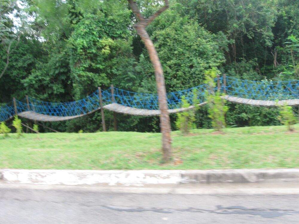 Terreno, 300 m² - Foto 7