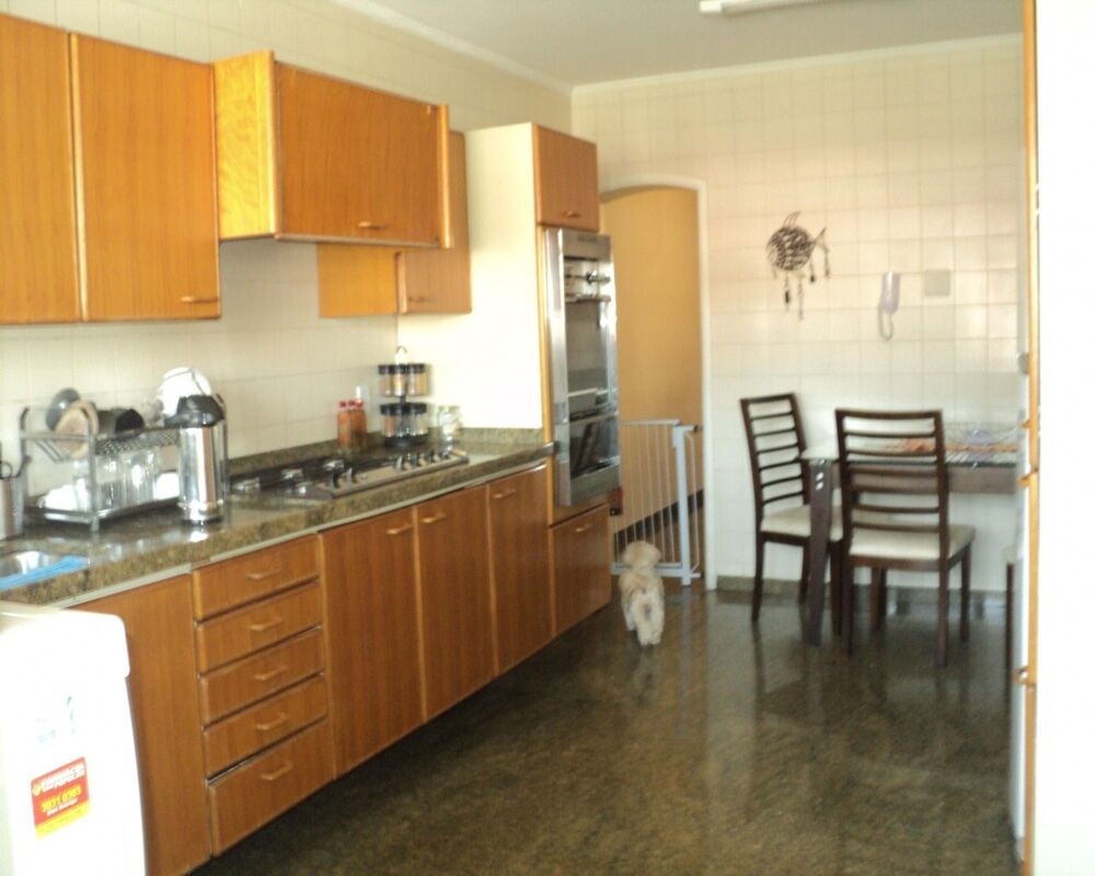 Apartamento à venda com 3 quartos, 188m² - Foto 5