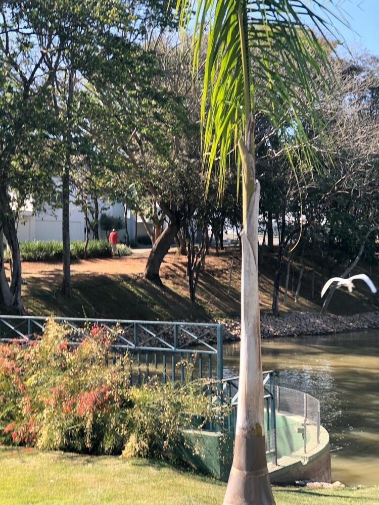 Terreno, 480 m² - Foto 3