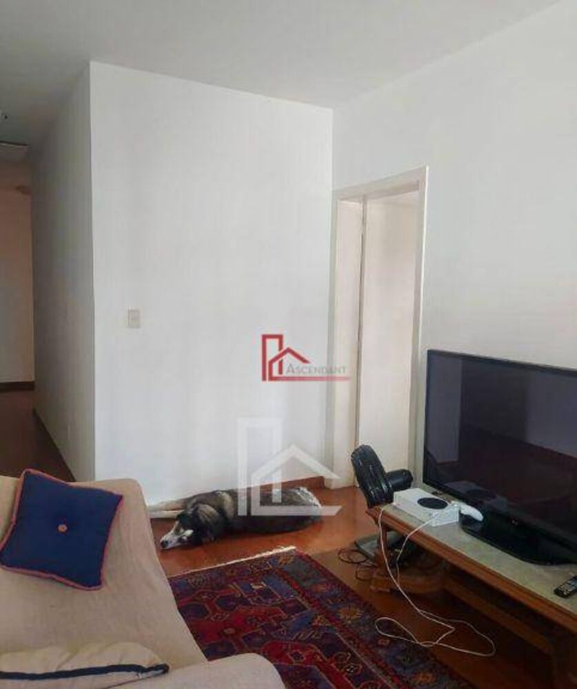 Casa, 4 quartos, 535 m² - Foto 37