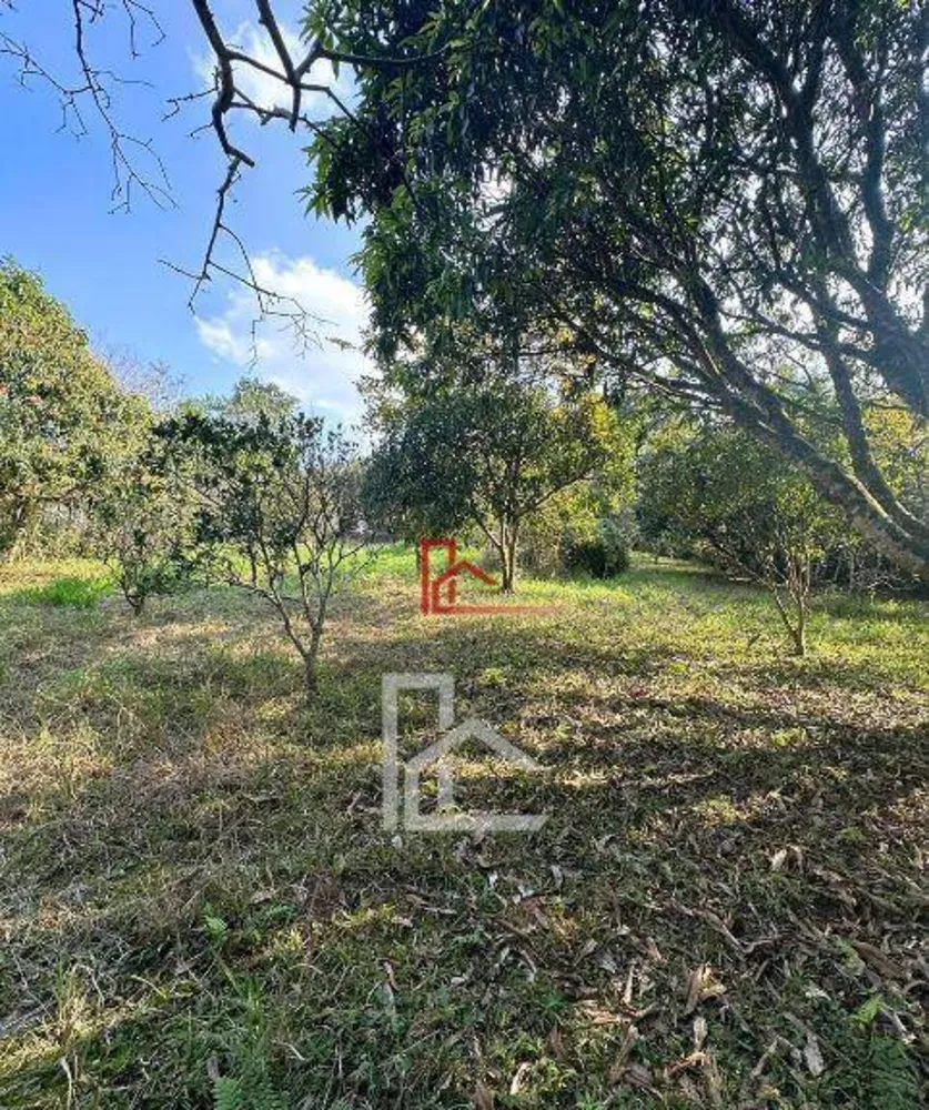 Chácara, 4 quartos, 2026 m² - Foto 13