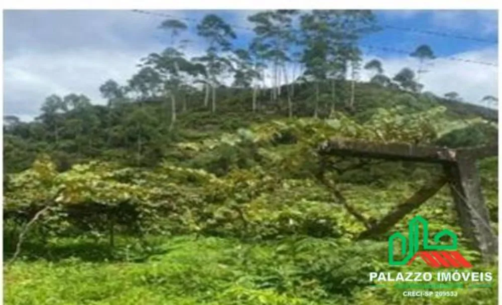 Terreno, 333 hectares - Foto 15