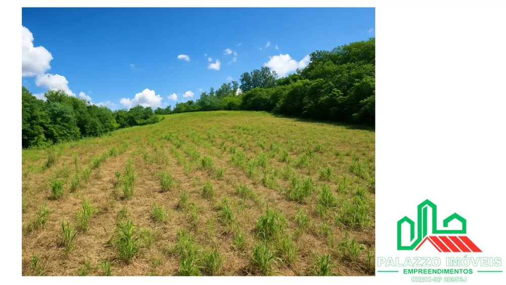 Terreno, 333 hectares - Foto 4