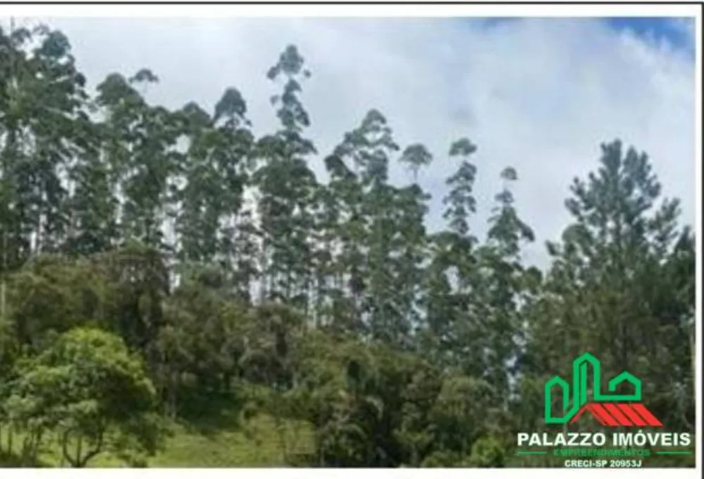 Terreno, 333 hectares - Foto 14