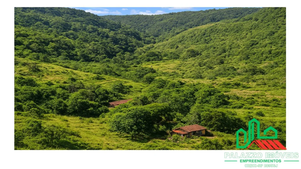 Terreno, 333 hectares - Foto 3