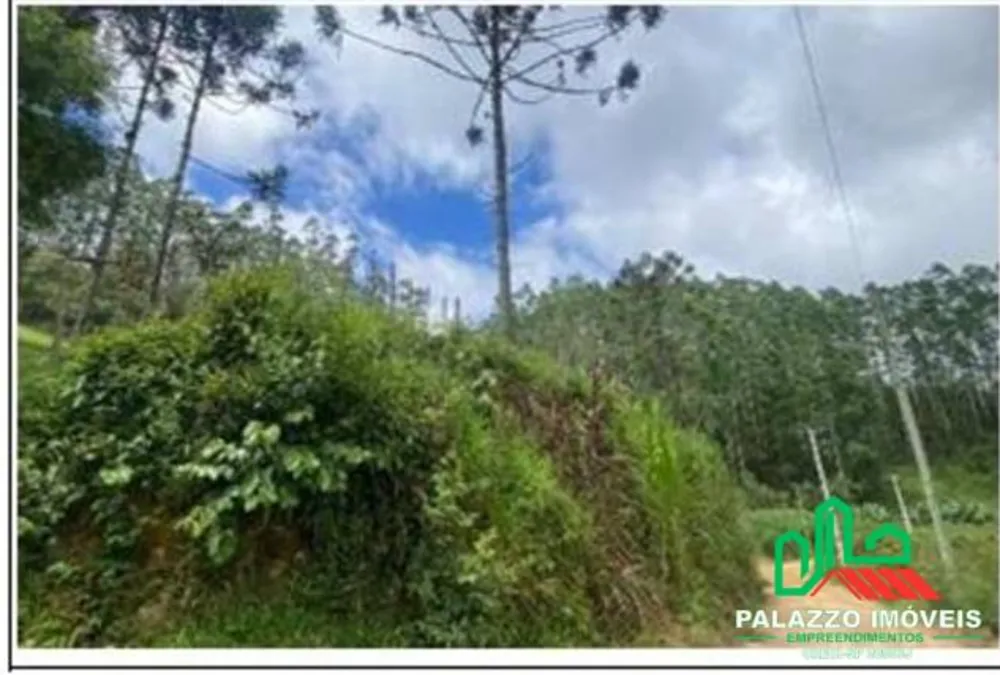 Terreno, 333 hectares - Foto 12