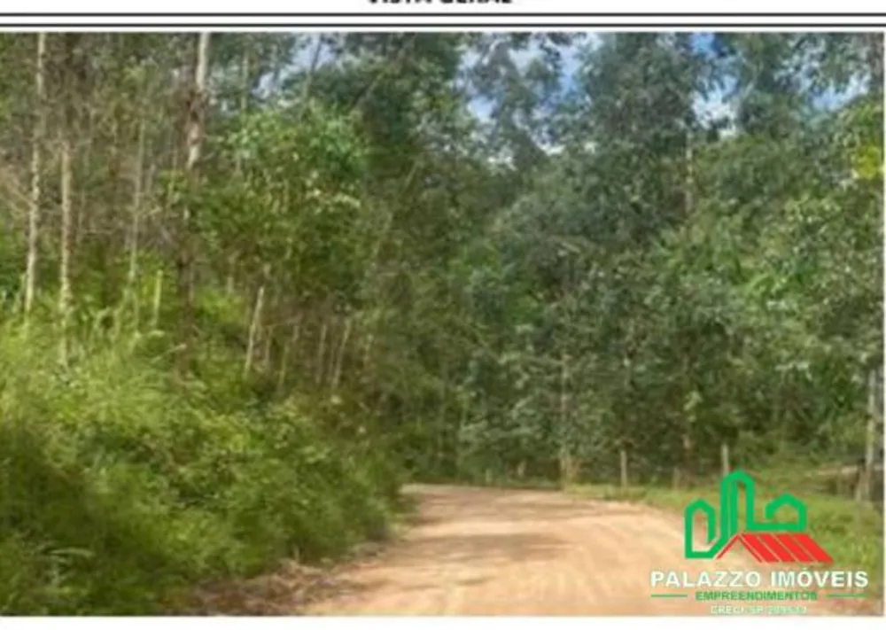 Terreno, 333 hectares - Foto 6
