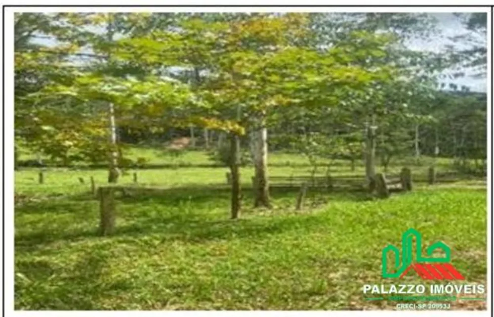 Terreno, 333 hectares - Foto 2